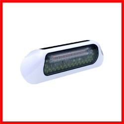 F236 Combo Scene Light